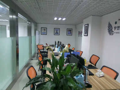 蘇州永真商務(wù)咨詢 專業(yè)商務(wù)信息咨詢服務(wù)解析